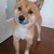 Profile picture small