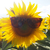 Profile picture small
