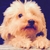 Profile picture small