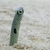 Profile picture small