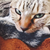 Profile picture small