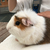 Profile picture small