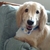 Profile picture small
