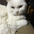 Profile picture small