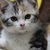 Profile picture small