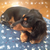 Profile picture small