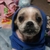Profile picture small