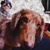 Profile picture small