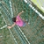 Profile picture small