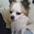 Profile picture small
