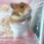 Profile picture small