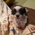 Profile picture small