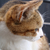 Profile picture small