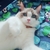 ちぃ