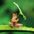 Profile picture small