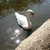 Profile picture small