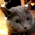 Profile picture small