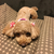 Profile picture small