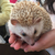 Profile picture small