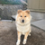 Profile picture small