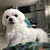 Profile picture small