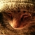 Profile picture small
