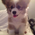 Profile picture small
