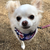 Profile picture small