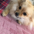 Profile picture small