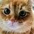 Profile picture small
