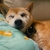 Profile picture small