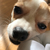 Profile picture small