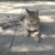 Profile picture small