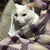 Profile picture small