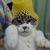 Profile picture small