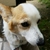 Profile picture small