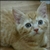 Profile picture small