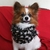 Profile picture small