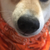 Profile picture small