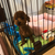 Profile picture small