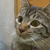Profile picture small