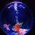 Profile picture small