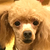 Profile picture small