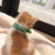 Profile picture small