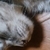 Profile picture small