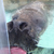 Profile picture small