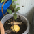 Profile picture small