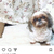 Profile picture small