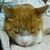 Profile picture small