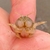 Profile picture small